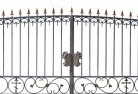 Coleamballywrought-iron-fencing-10.jpg; ?>